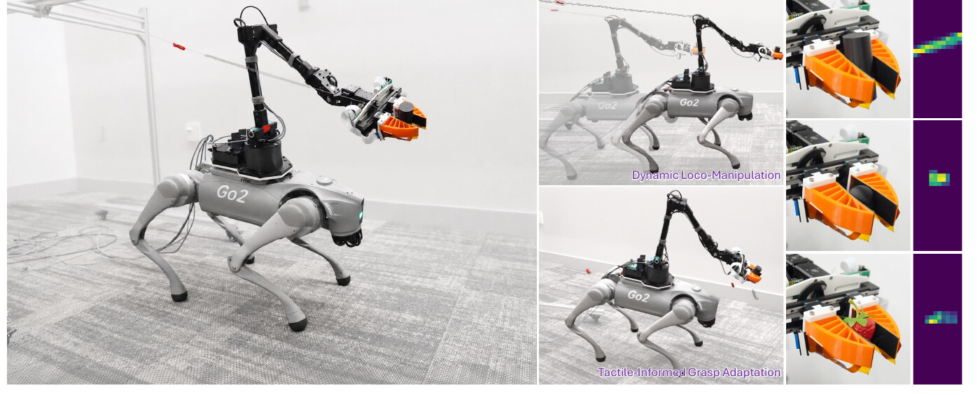 TAC-LOCO: Unified Whole-Body Control for Quadrupedal TACtile-Informed LOCO-Manipulation