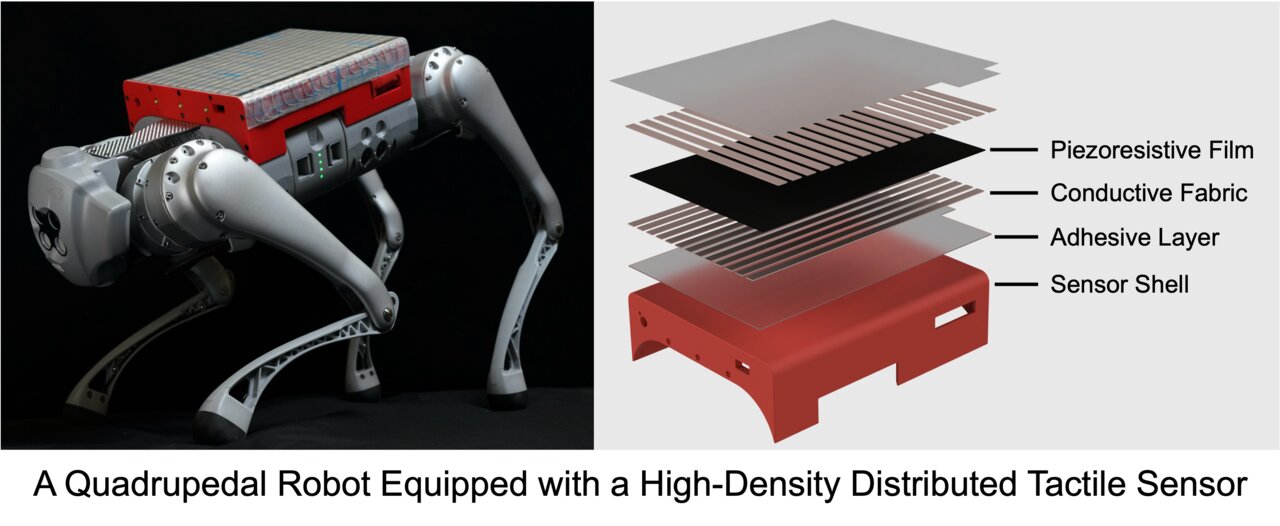 LocoTouch: Learning Dynamic Quadrupedal Transport with Tactile Sensing